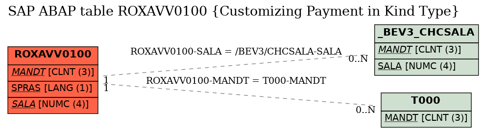 E-R Diagram for table ROXAVV0100 (Customizing Payment in Kind Type)