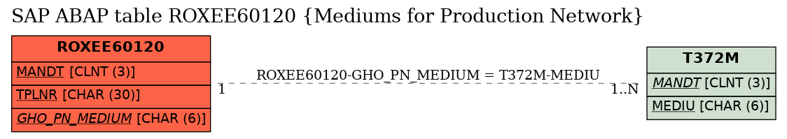 E-R Diagram for table ROXEE60120 (Mediums for Production Network)