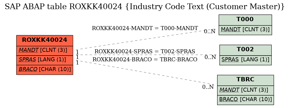 E-R Diagram for table ROXKK40024 (Industry Code Text (Customer Master))