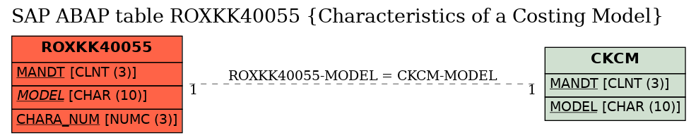 E-R Diagram for table ROXKK40055 (Characteristics of a Costing Model)