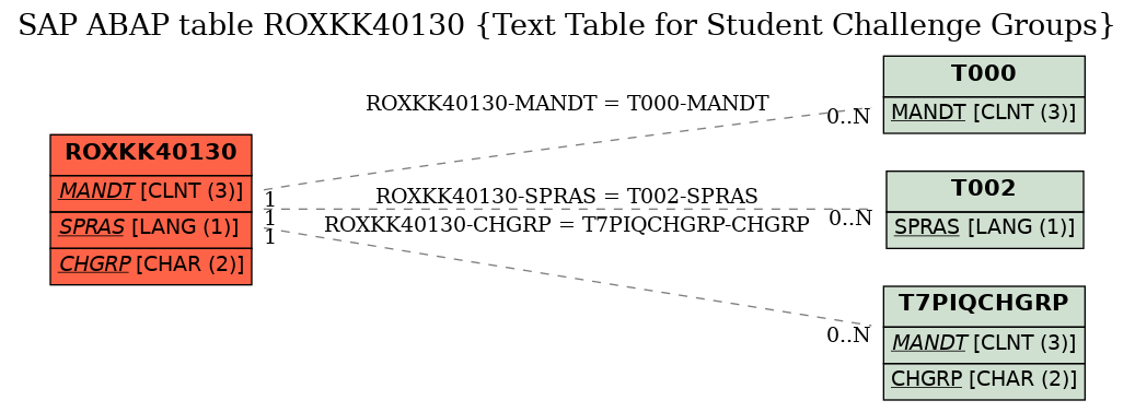 E-R Diagram for table ROXKK40130 (Text Table for Student Challenge Groups)