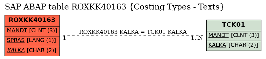 E-R Diagram for table ROXKK40163 (Costing Types - Texts)