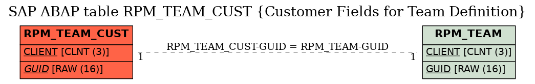 E-R Diagram for table RPM_TEAM_CUST (Customer Fields for Team Definition)