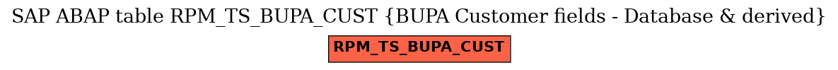 E-R Diagram for table RPM_TS_BUPA_CUST (BUPA Customer fields - Database & derived)