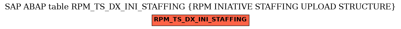 E-R Diagram for table RPM_TS_DX_INI_STAFFING (RPM INIATIVE STAFFING UPLOAD STRUCTURE)