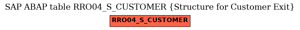E-R Diagram for table RRO04_S_CUSTOMER (Structure for Customer Exit)