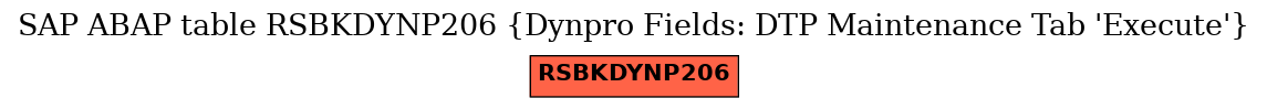 E-R Diagram for table RSBKDYNP206 (Dynpro Fields: DTP Maintenance Tab 'Execute')