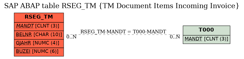 E-R Diagram for table RSEG_TM (TM Document Items Incoming Invoice)