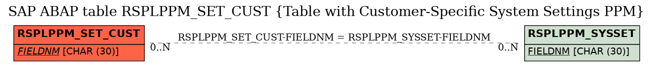 E-R Diagram for table RSPLPPM_SET_CUST (Table with Customer-Specific System Settings PPM)