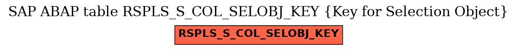 E-R Diagram for table RSPLS_S_COL_SELOBJ_KEY (Key for Selection Object)