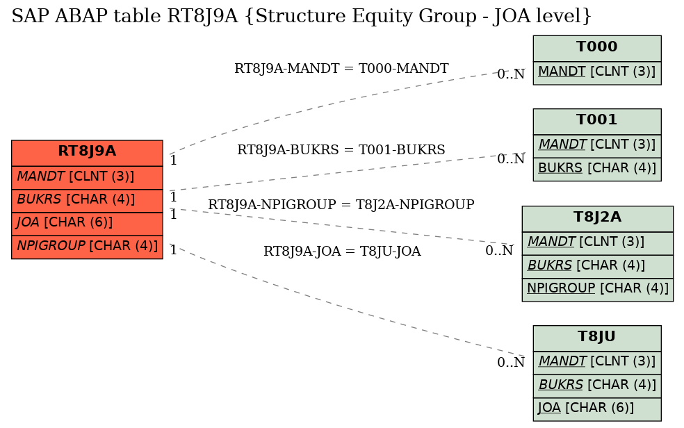 E-R Diagram for table RT8J9A (Structure Equity Group - JOA level)