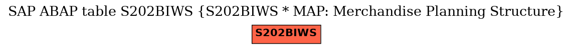 E-R Diagram for table S202BIWS (S202BIWS * MAP: Merchandise Planning Structure)