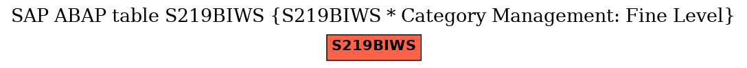 E-R Diagram for table S219BIWS (S219BIWS * Category Management: Fine Level)