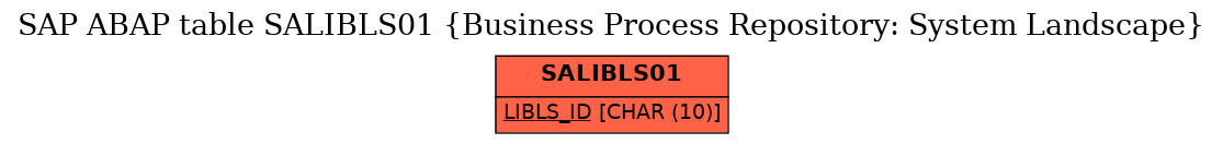 E-R Diagram for table SALIBLS01 (Business Process Repository: System Landscape)