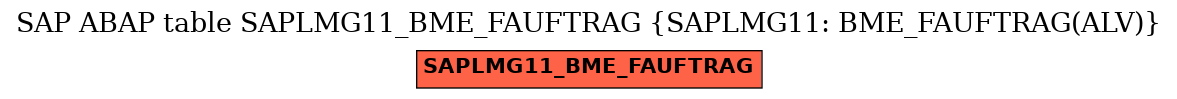 E-R Diagram for table SAPLMG11_BME_FAUFTRAG (SAPLMG11: BME_FAUFTRAG(ALV))