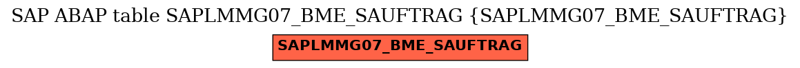 E-R Diagram for table SAPLMMG07_BME_SAUFTRAG (SAPLMMG07_BME_SAUFTRAG)
