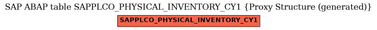 E-R Diagram for table SAPPLCO_PHYSICAL_INVENTORY_CY1 (Proxy Structure (generated))