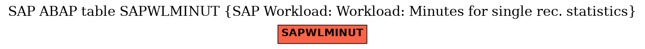 E-R Diagram for table SAPWLMINUT (SAP Workload: Workload: Minutes for single rec. statistics)