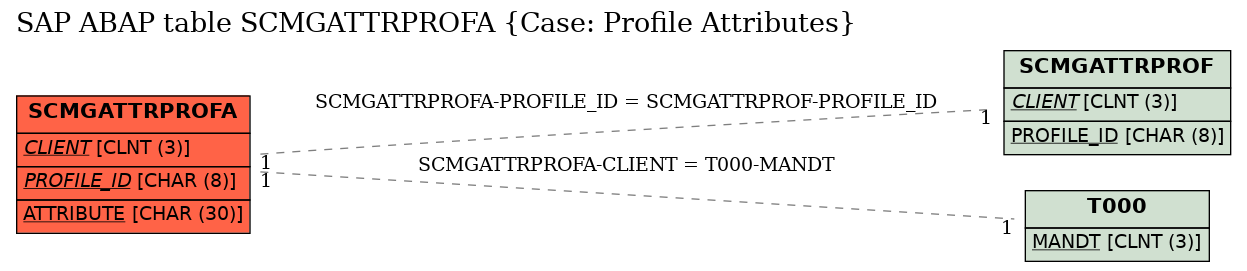 E-R Diagram for table SCMGATTRPROFA (Case: Profile Attributes)