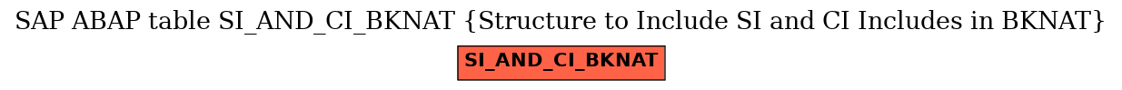E-R Diagram for table SI_AND_CI_BKNAT (Structure to Include SI and CI Includes in BKNAT)