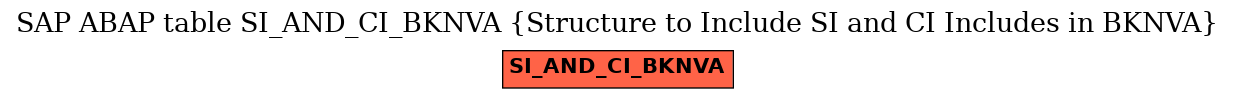 E-R Diagram for table SI_AND_CI_BKNVA (Structure to Include SI and CI Includes in BKNVA)