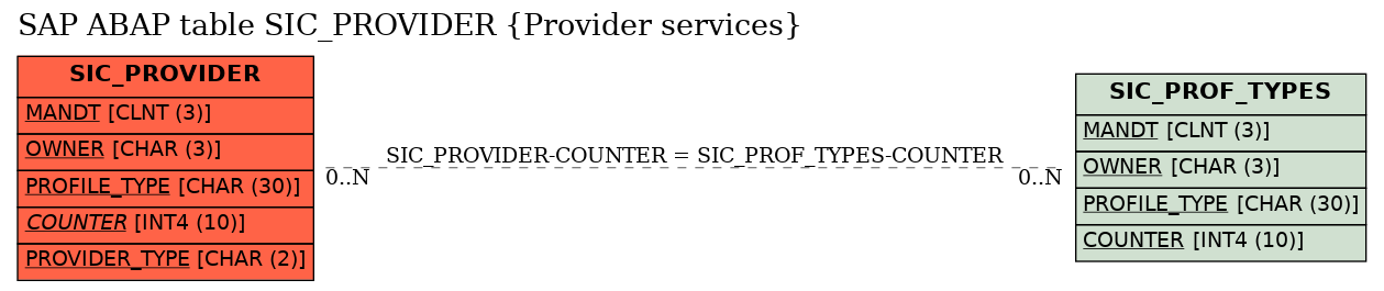 E-R Diagram for table SIC_PROVIDER (Provider services)