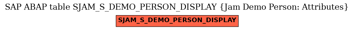 E-R Diagram for table SJAM_S_DEMO_PERSON_DISPLAY (Jam Demo Person: Attributes)