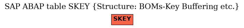 E-R Diagram for table SKEY (Structure: BOMs-Key Buffering etc.)