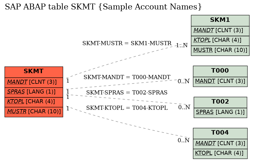 E-R Diagram for table SKMT (Sample Account Names)