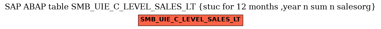 E-R Diagram for table SMB_UIE_C_LEVEL_SALES_LT (stuc for 12 months ,year n sum n salesorg)