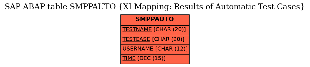 E-R Diagram for table SMPPAUTO (XI Mapping: Results of Automatic Test Cases)