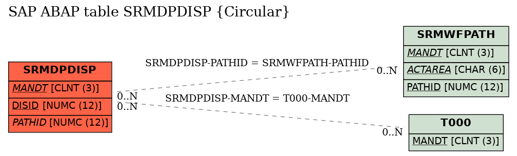 E-R Diagram for table SRMDPDISP (Circular)