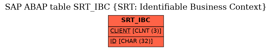 E-R Diagram for table SRT_IBC (SRT: Identifiable Business Context)