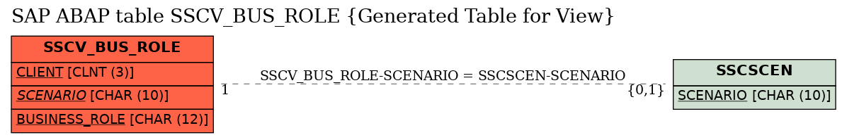 E-R Diagram for table SSCV_BUS_ROLE (Generated Table for View)