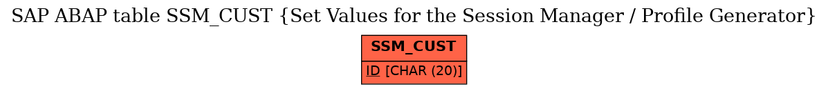 E-R Diagram for table SSM_CUST (Set Values for the Session Manager / Profile Generator)