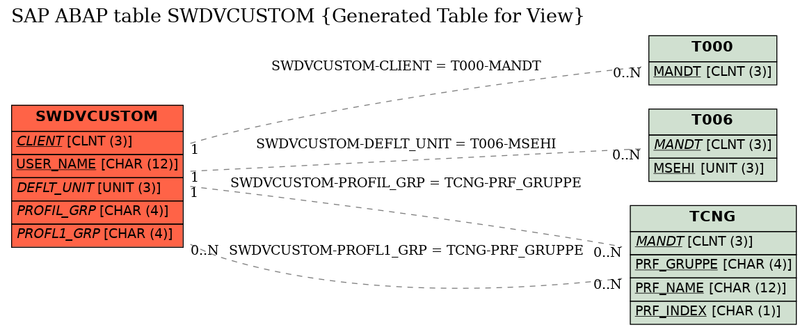 E-R Diagram for table SWDVCUSTOM (Generated Table for View)