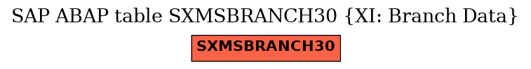 E-R Diagram for table SXMSBRANCH30 (XI: Branch Data)