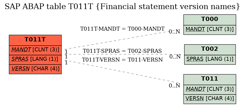 E-R Diagram for table T011T (Financial statement version names)