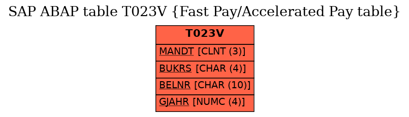 E-R Diagram for table T023V (Fast Pay/Accelerated Pay table)