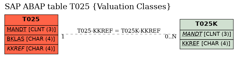 E-R Diagram for table T025 (Valuation Classes)