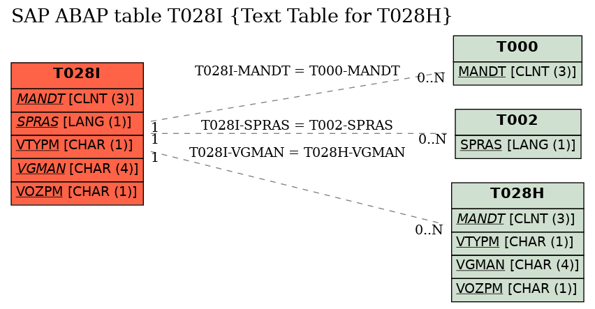 E-R Diagram for table T028I (Text Table for T028H)