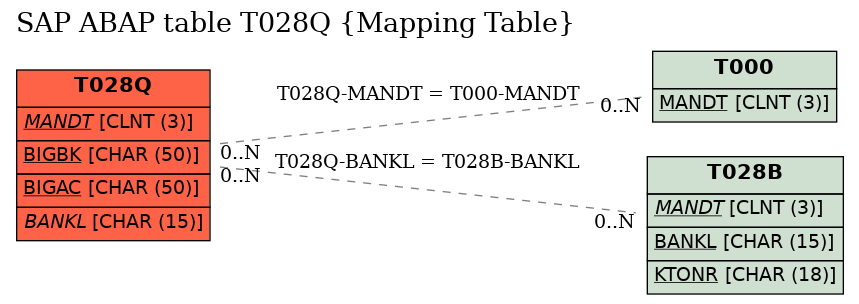 E-R Diagram for table T028Q (Mapping Table)