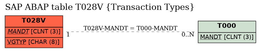 E-R Diagram for table T028V (Transaction Types)