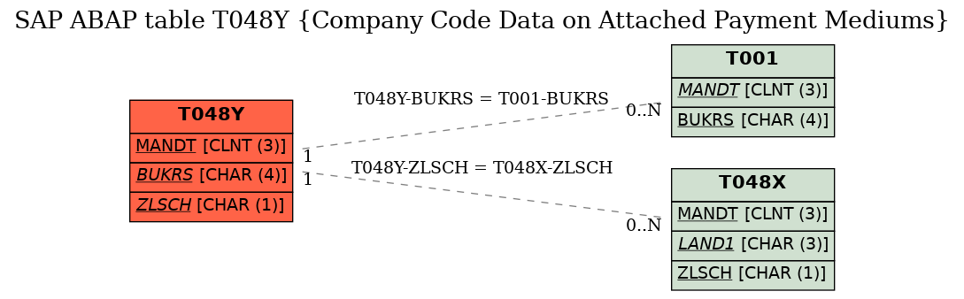 E-R Diagram for table T048Y (Company Code Data on Attached Payment Mediums)