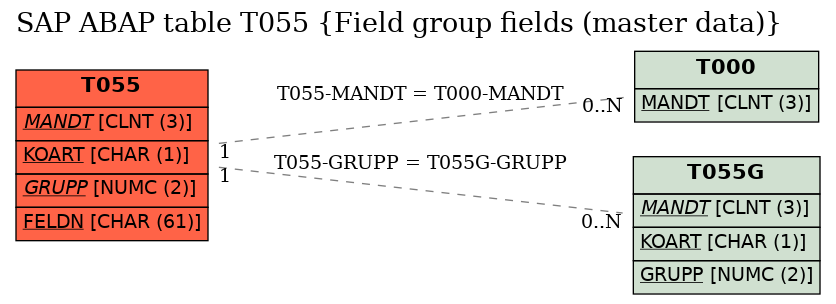 E-R Diagram for table T055 (Field group fields (master data))