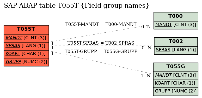 E-R Diagram for table T055T (Field group names)