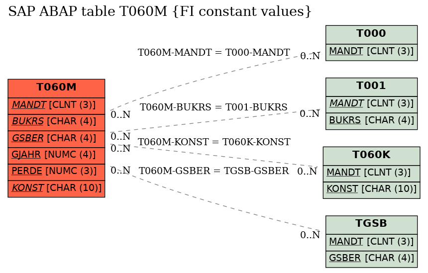 E-R Diagram for table T060M (FI constant values)