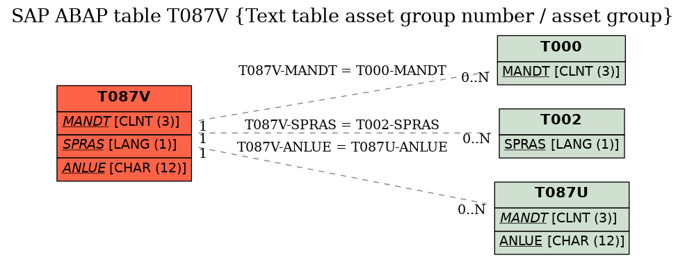 E-R Diagram for table T087V (Text table asset group number / asset group)