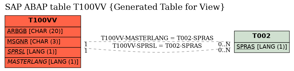E-R Diagram for table T100VV (Generated Table for View)