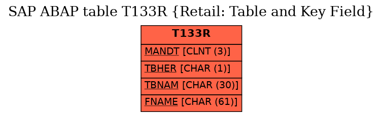 E-R Diagram for table T133R (Retail: Table and Key Field)